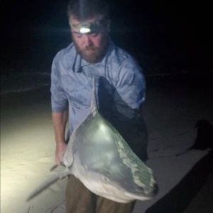 Meet your Posher, Vin